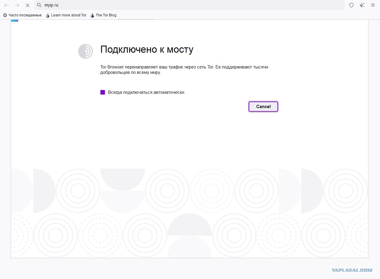 Кракен наркологический