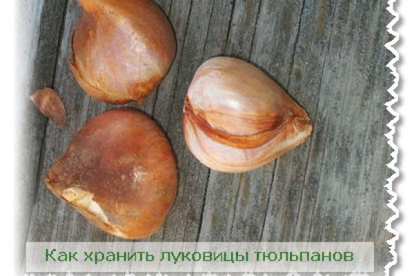 Проверенная ссылка кракен