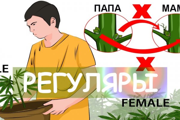 Кракен даркшоп