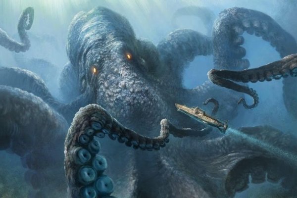 Kraken whitenet store
