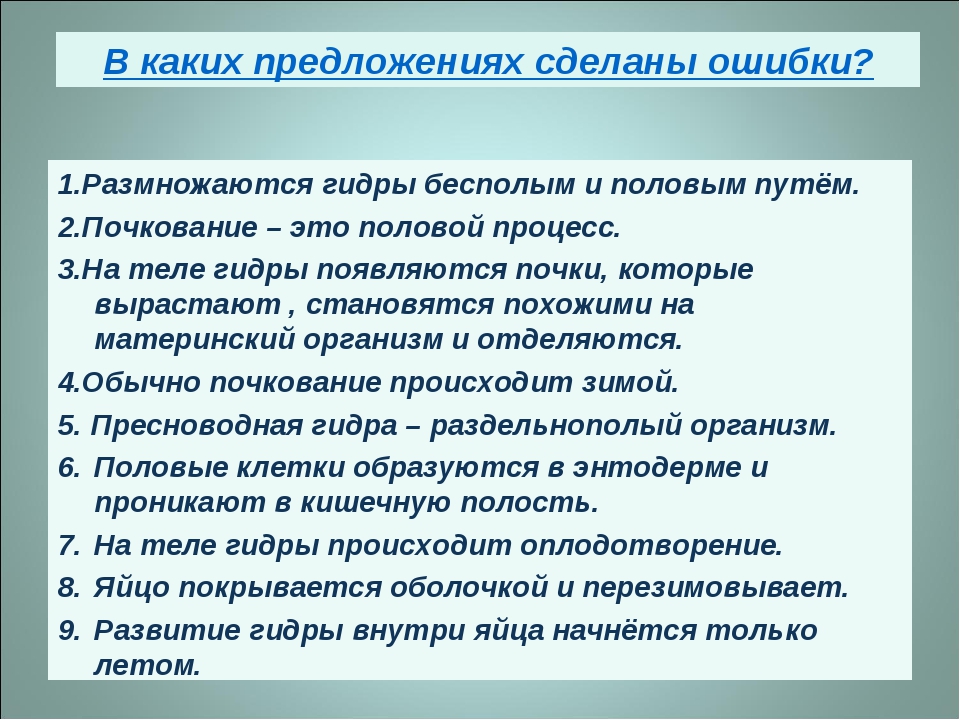 Кракен 9 at