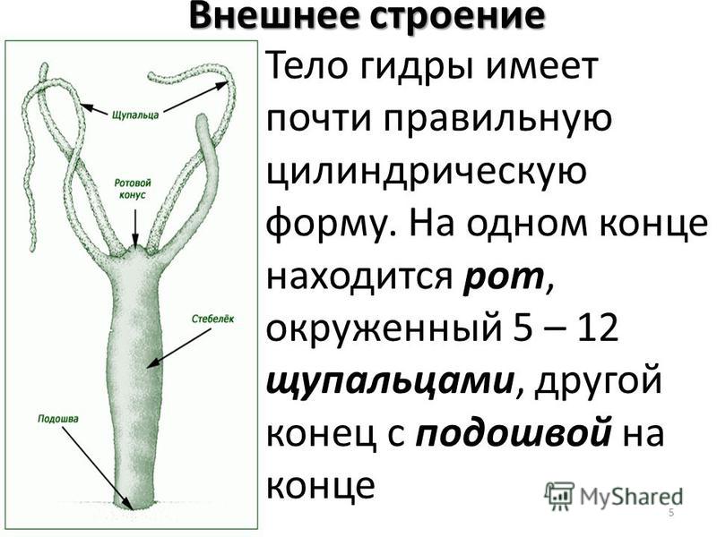 Супернет зеркало